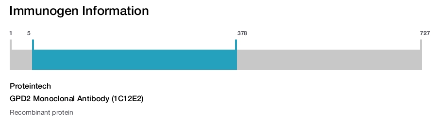 GPD2 Monoclonal Antibody (1C12E2)