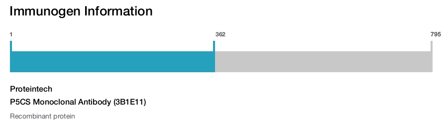 P5CS Monoclonal Antibody (3B1E11)
