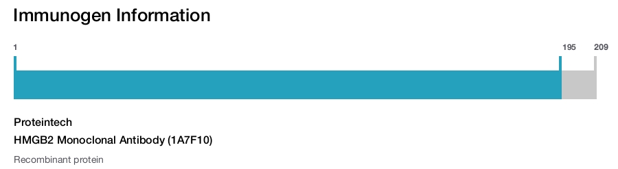 HMGB2 Monoclonal Antibody (1A7F10)