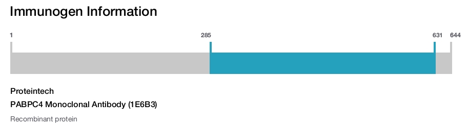 PABPC4 Monoclonal Antibody (1E6B3)