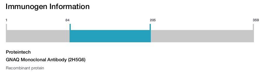 GNAQ Monoclonal Antibody (2H5G6)
