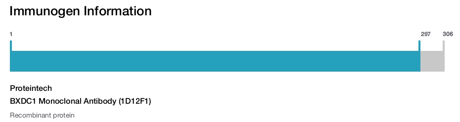 BXDC1 Monoclonal Antibody (1D12F1)