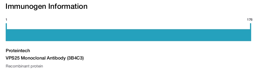 VPS25 Monoclonal Antibody (3B4C3)