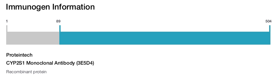 CYP2S1 Monoclonal Antibody (3E5D4)
