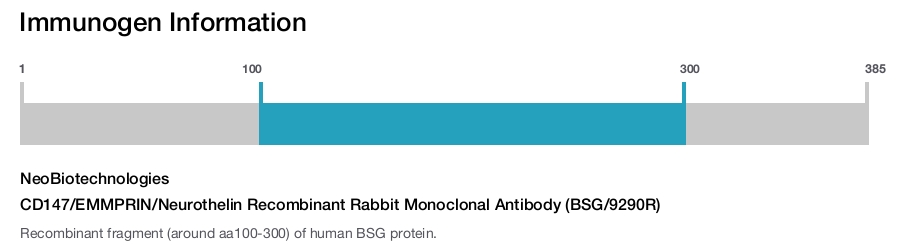 CD147/EMMPRIN/Neurothelin Recombinant Rabbit Monoclonal Antibody (BSG/9290R)