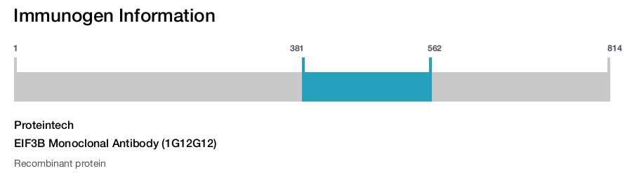 EIF3B Monoclonal Antibody (1G12G12)