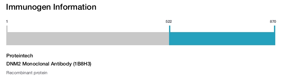 DNM2 Monoclonal Antibody (1B8H3)
