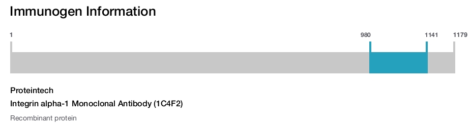 Integrin alpha-1 Monoclonal Antibody (1C4F2)