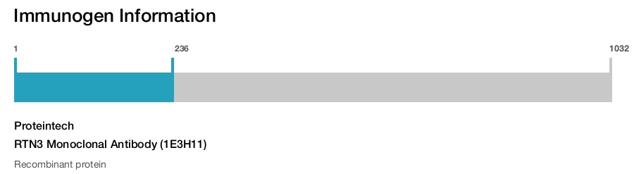 RTN3 Monoclonal Antibody (1E3H11)
