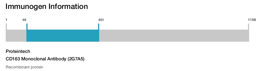 CD163 Monoclonal Antibody (2G7A5)
