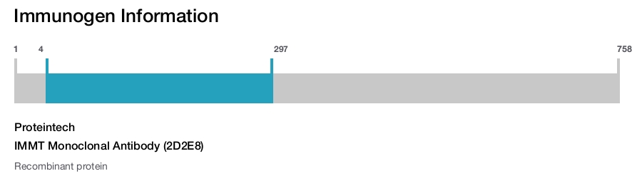 IMMT Monoclonal Antibody (2D2E8)