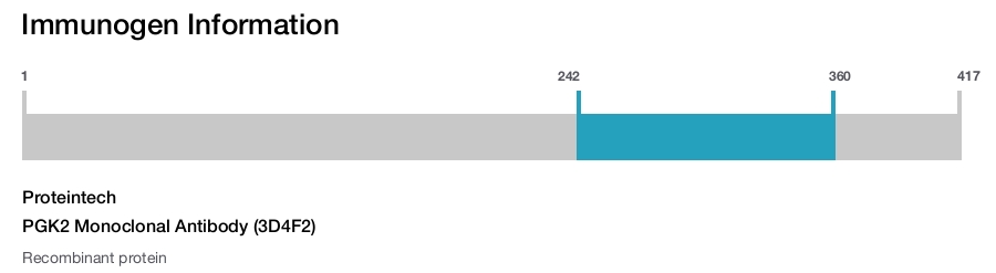 PGK2 Monoclonal Antibody (3D4F2)