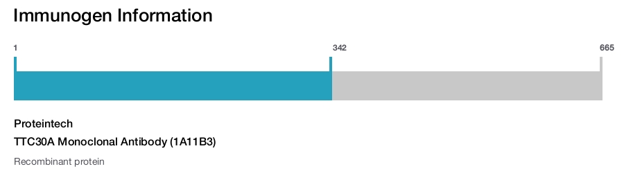 TTC30A Monoclonal Antibody (1A11B3)