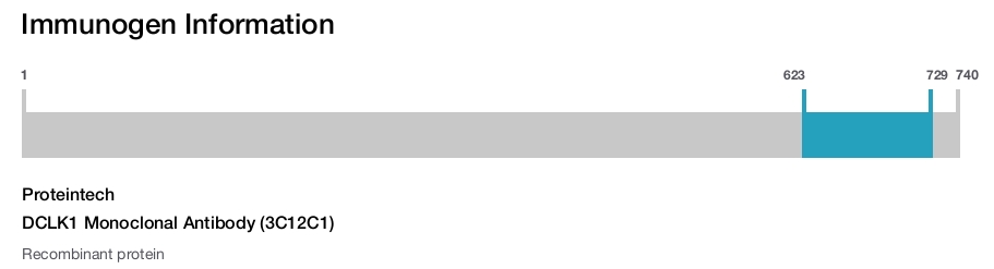 DCLK1 Monoclonal Antibody (3C12C1)