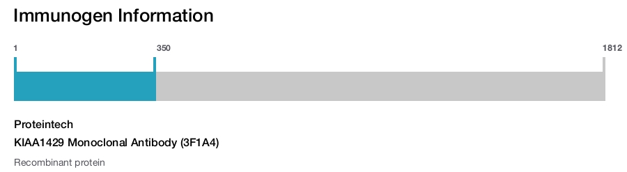 KIAA1429 Monoclonal Antibody (3F1A4)