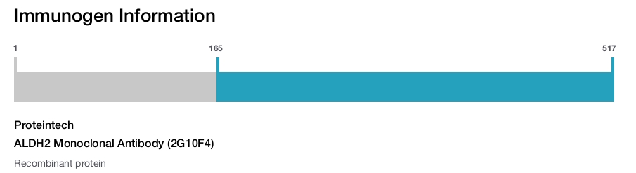 ALDH2 Monoclonal Antibody (2G10F4)