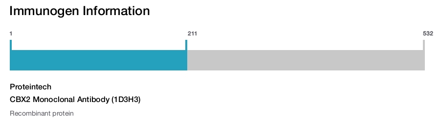 CBX2 Monoclonal Antibody (1D3H3)