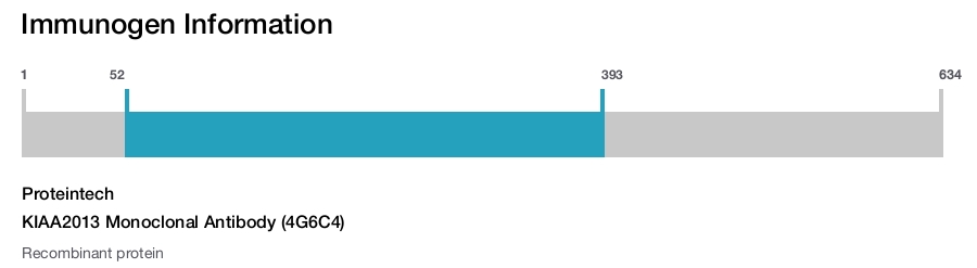 KIAA2013 Monoclonal Antibody (4G6C4)