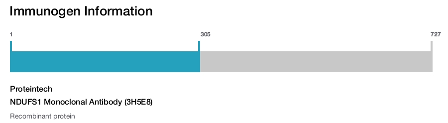 NDUFS1 Monoclonal Antibody (3H5E8)