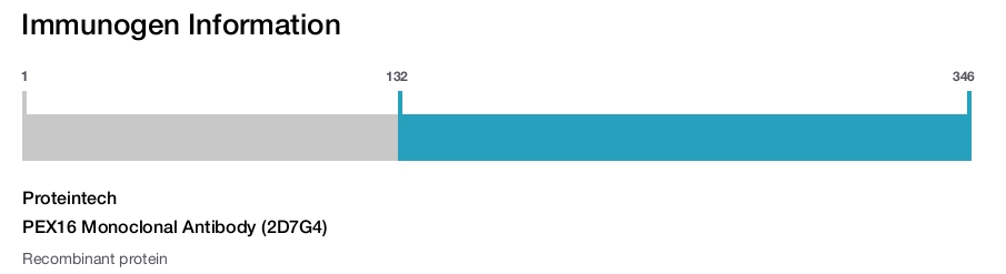 PEX16 Monoclonal Antibody (2D7G4)