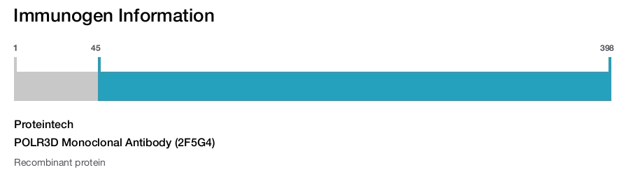 POLR3D Monoclonal Antibody (2F5G4)