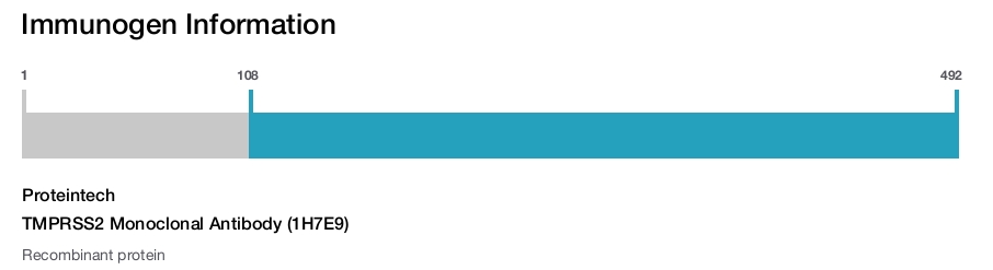 TMPRSS2 Monoclonal Antibody (1H7E9)