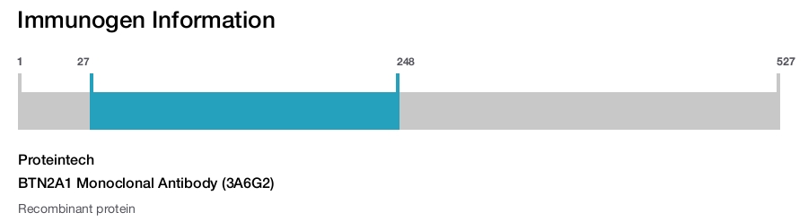 BTN2A1 Monoclonal Antibody (3A6G2)
