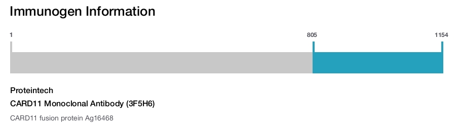 CARD11 Monoclonal Antibody (3F5H6)