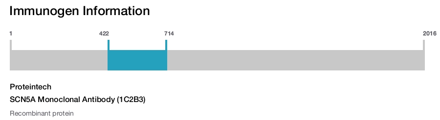 SCN5A Monoclonal Antibody (1C2B3)