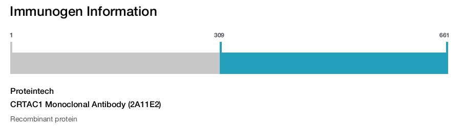 CRTAC1 Monoclonal Antibody (2A11E2)