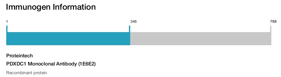 PDXDC1 Monoclonal Antibody (1E6E2)