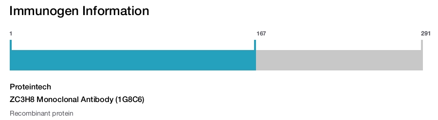 ZC3H8 Monoclonal Antibody (1G8C6)