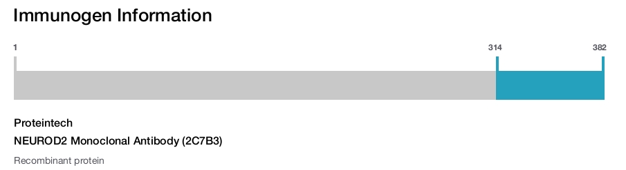 NEUROD2 Monoclonal Antibody (2C7B3)