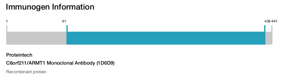 C6orf211/ARMT1 Monoclonal Antibody (1D6D9)
