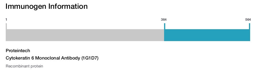 Cytokeratin 6 Monoclonal Antibody (1G1D7)
