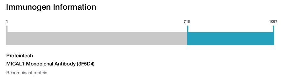 MICAL1 Monoclonal Antibody (3F5D4)