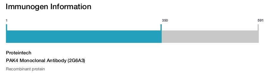 PAK4 Monoclonal Antibody (2G6A3)
