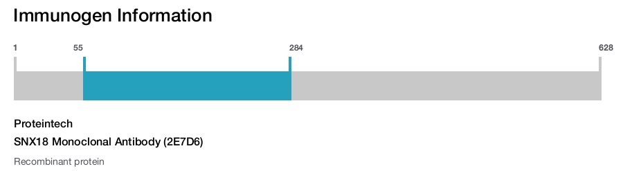 SNX18 Monoclonal Antibody (2E7D6)