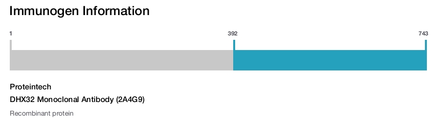DHX32 Monoclonal Antibody (2A4G9)