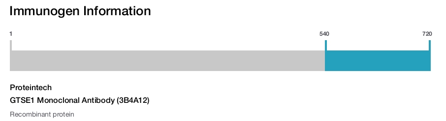 GTSE1 Monoclonal Antibody (3B4A12)