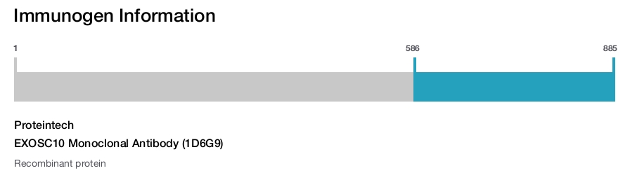 EXOSC10 Monoclonal Antibody (1D6G9)