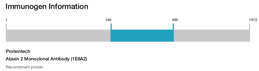 Ataxin 2 Monoclonal Antibody (1E8A2)