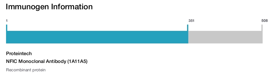 NFIC Monoclonal Antibody (1A11A5)