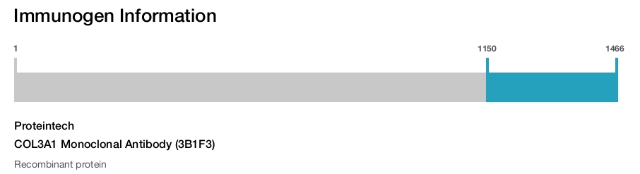 COL3A1 Monoclonal Antibody (3B1F3)