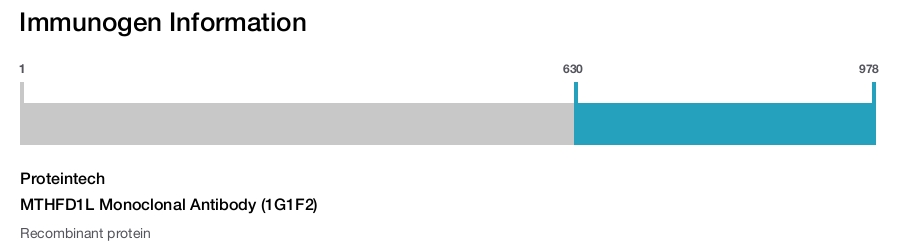 MTHFD1L Monoclonal Antibody (1G1F2)