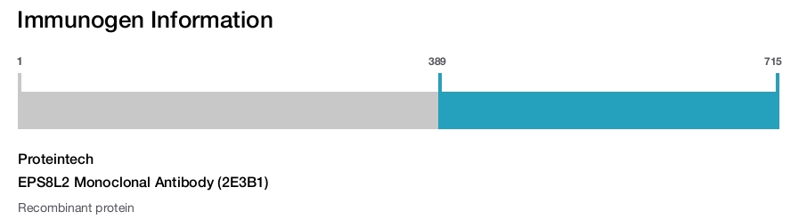 EPS8L2 Monoclonal Antibody (2E3B1)