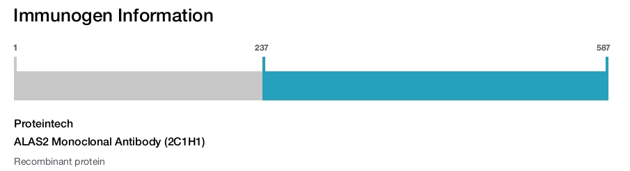 ALAS2 Monoclonal Antibody (2C1H1)