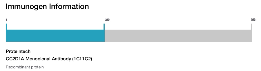 CC2D1A Monoclonal Antibody (1C11G2)
