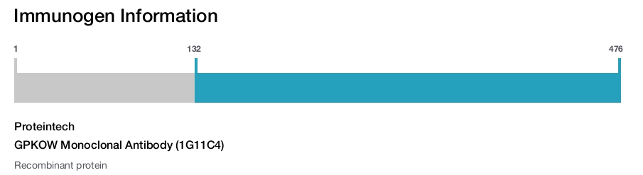 GPKOW Monoclonal Antibody (1G11C4)