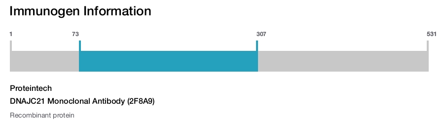 DNAJC21 Monoclonal Antibody (2F8A9)